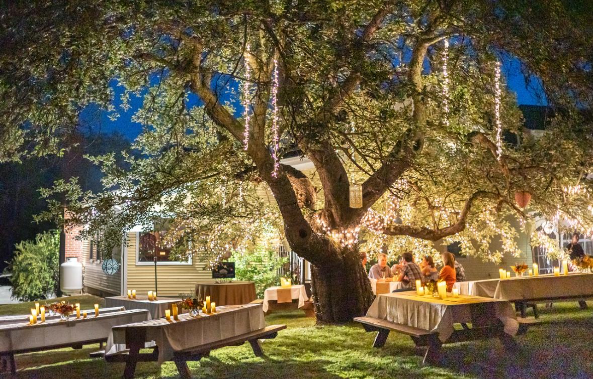 Outdoor Dining — Evening under the century old apple tree
